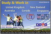 Study in New Zealand - British Counselling & Educational Services