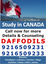  Study in Canada Best Visa Consultant In Amirtsar          Daffodils C