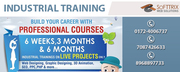 Six Month Industrial Training On lIve Projects