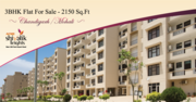 3 BHK Ready to Move Dlats in Mohali - Property in Mohali