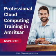 Professional Cloud Computing Training in Amritsar