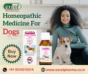 Shop the Best Homeopathic Medicine For Dogs Health Problems