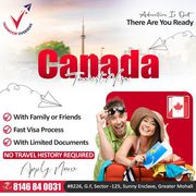 Top Mohali Consultants for Canada Visitor Visa 