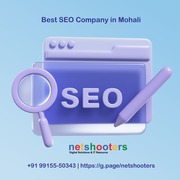Best SEO Company in Mohali - NetShooters