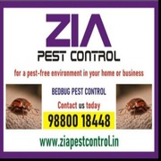 Zia Pest Control contact for special discount | Bed Bug Blr Treatment