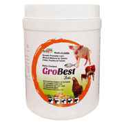 Refit Animal Care GROBEST - Milk & Growth