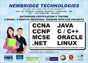 ccna, ccnp,  macitp  networking training in ludhiana